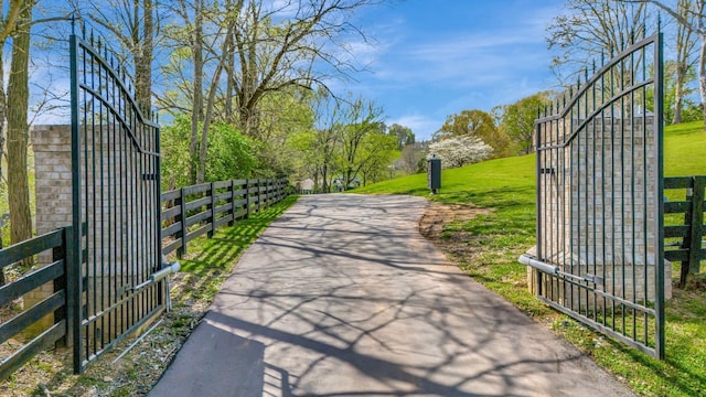 view of home's community with a yard