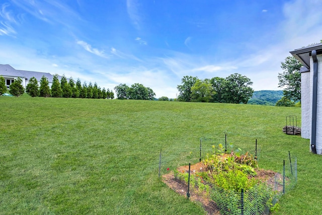 view of yard with a rural view