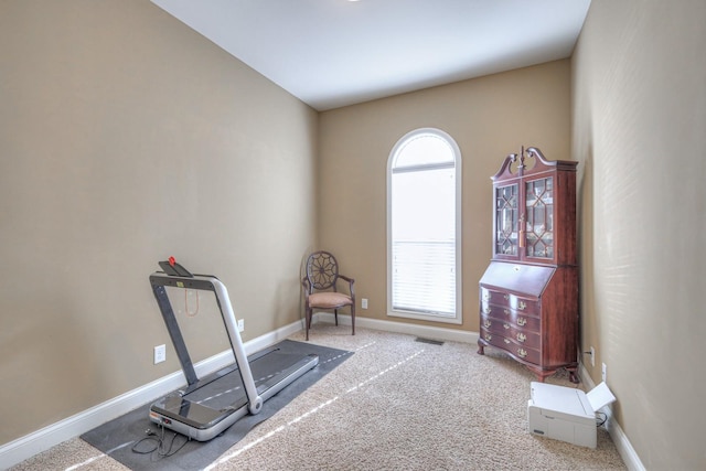 workout room featuring carpet flooring