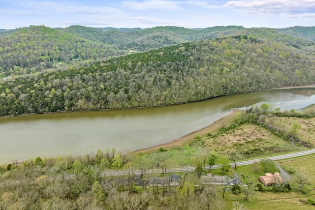 property view of water featuring a mountain view