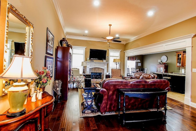 living room featuring hardwood / wood-style flooring, crown molding, ceiling fan, and a fireplace