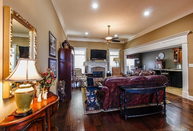 living room with crown molding, dark wood-type flooring, and ceiling fan