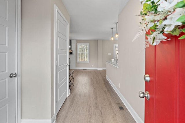 entrance foyer featuring light wood-type flooring