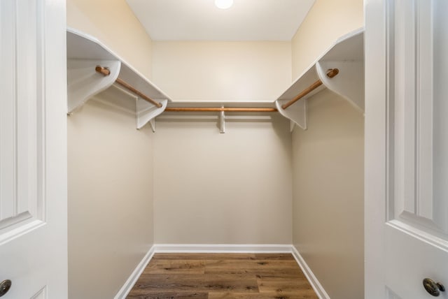 walk in closet featuring hardwood / wood-style floors