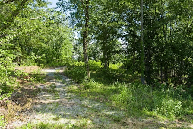 689 Pates Ford Rd, Walling TN, 38587 land for sale