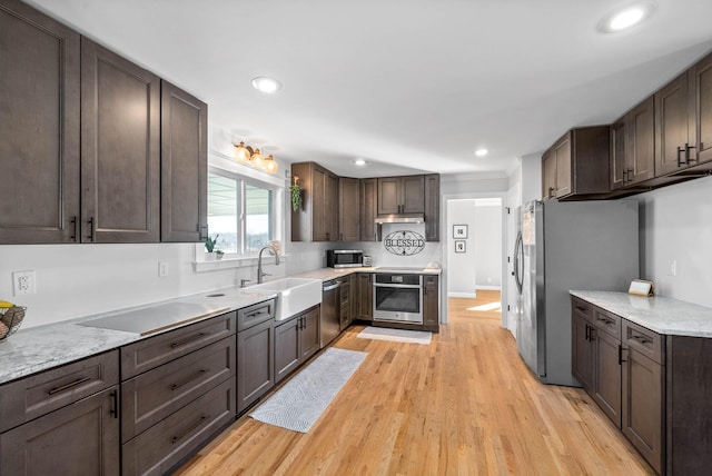 kitchen featuring stainless steel appliances, sink, dark brown cabinetry, and light hardwood / wood-style floors