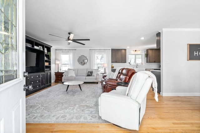 living room with crown molding, ceiling fan, and light hardwood / wood-style flooring