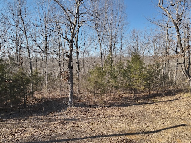 146 Wyatt Ln, Linden TN, 37096 land for sale