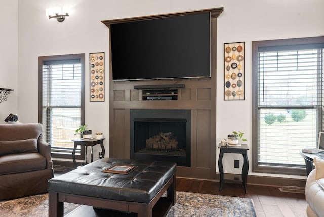 living room featuring dark hardwood / wood-style flooring