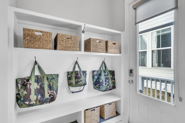 mudroom featuring a wealth of natural light