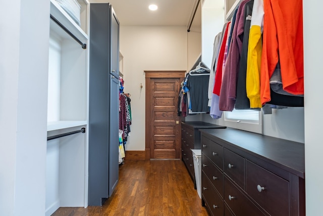 walk in closet featuring dark hardwood / wood-style floors