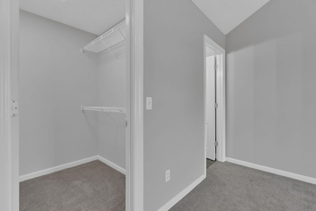 spacious closet with lofted ceiling and carpet flooring