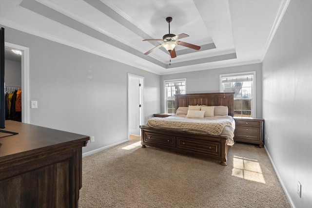 carpeted bedroom featuring ornamental molding, a walk in closet, ceiling fan, a raised ceiling, and a closet