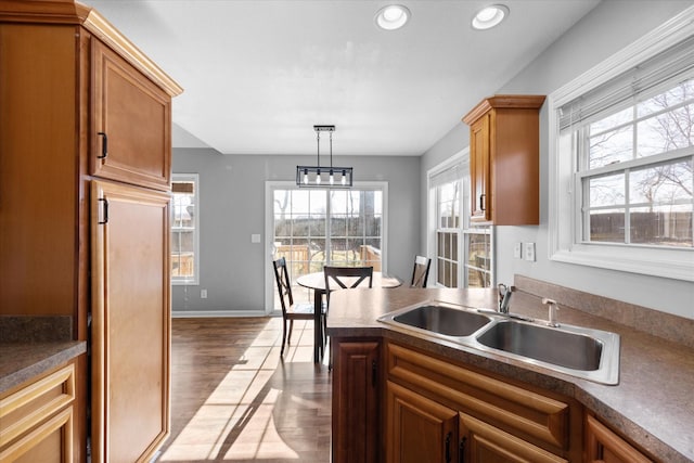 kitchen with decorative light fixtures, dark hardwood / wood-style flooring, and sink