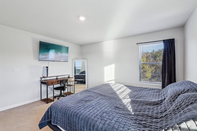 bedroom with carpet