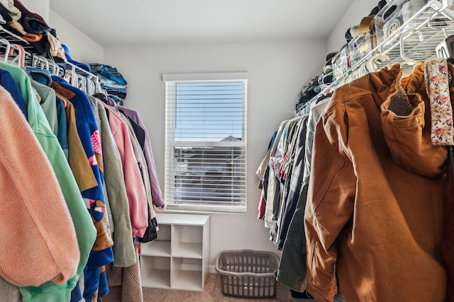 spacious closet featuring carpet