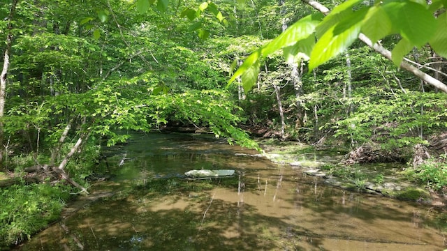 view of nature with a water view