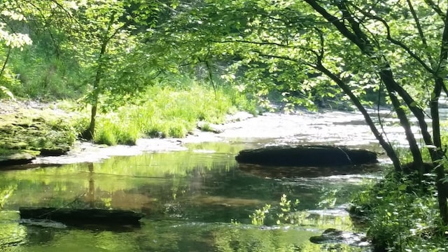 view of landscape featuring a water view