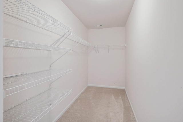 spacious closet with light colored carpet