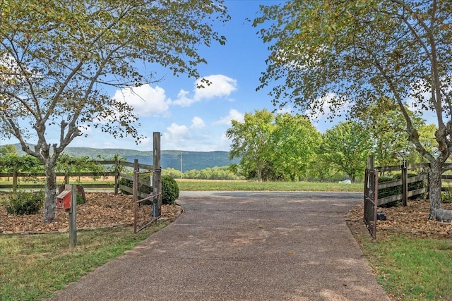 view of home's community with a mountain view