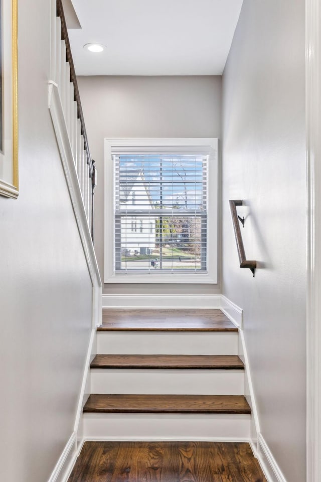 stairs with hardwood / wood-style floors