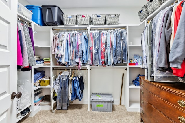 spacious closet featuring carpet floors