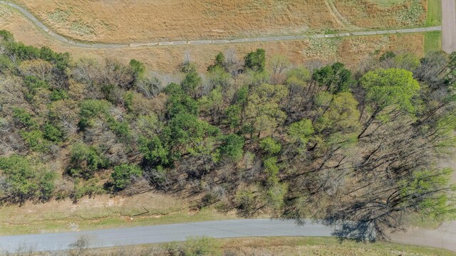 1117 Fairway Dr, Saulsbury, TN 38067