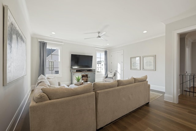 living room with ceiling fan, ornamental molding, and dark hardwood / wood-style flooring