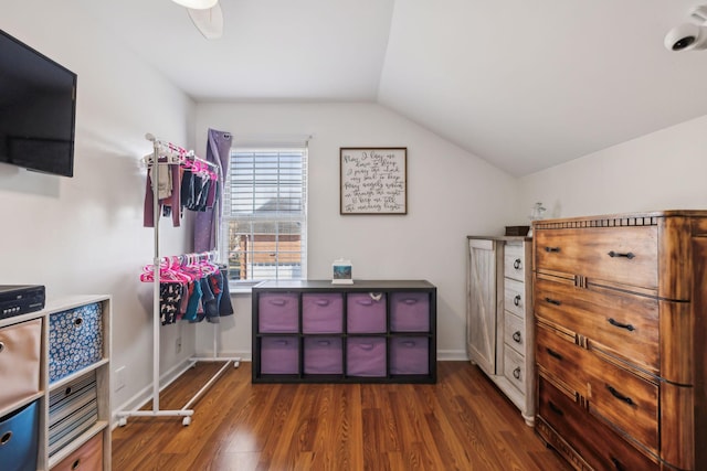 interior space with vaulted ceiling and dark hardwood / wood-style floors