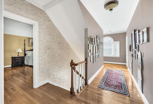 hall featuring hardwood / wood-style floors and ornamental molding