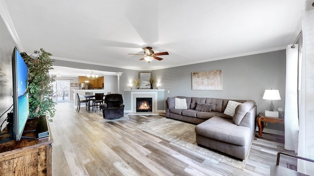 living room with crown molding, ceiling fan with notable chandelier, and light wood-type flooring