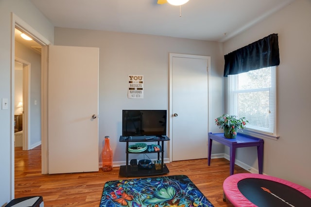 living area featuring light wood-type flooring