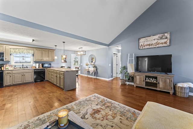 living room featuring sink, high vaulted ceiling, and dark hardwood / wood-style floors