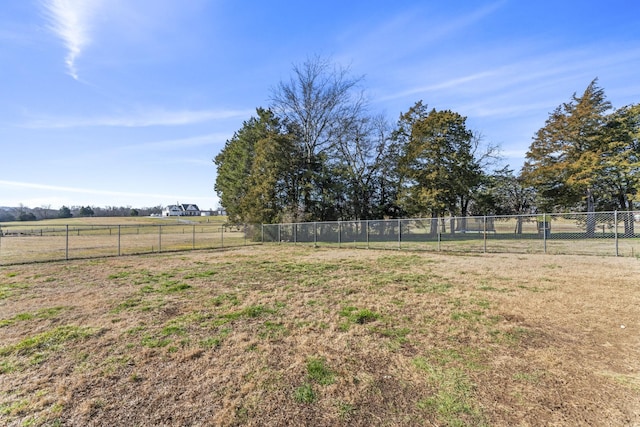 view of yard with a rural view