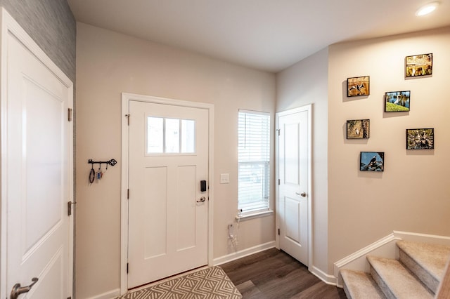 foyer featuring a healthy amount of sunlight and dark wood-type flooring