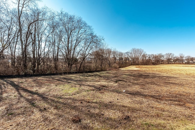 view of yard featuring a rural view