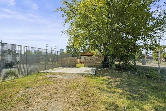 view of yard with a patio