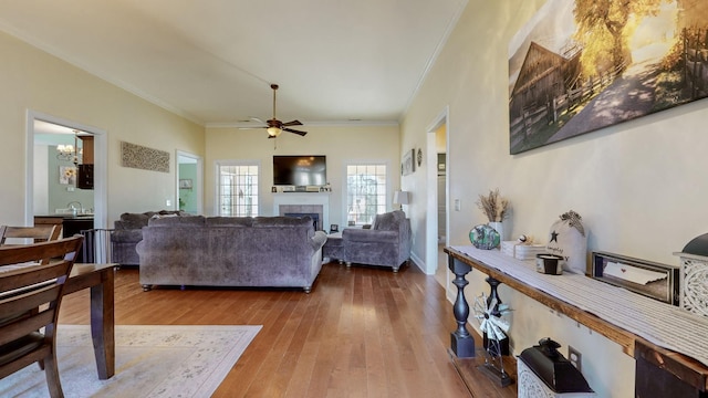 living area featuring crown molding, a fireplace, wood finished floors, and ceiling fan with notable chandelier