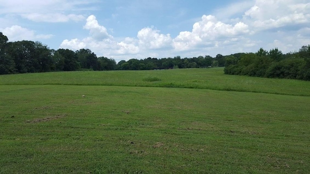 view of local wilderness featuring a rural view