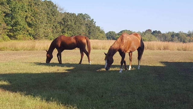 view of stable featuring a rural view