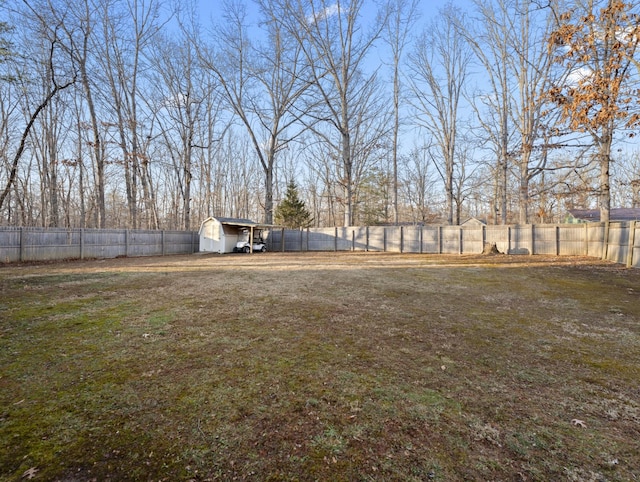 view of yard with a storage unit