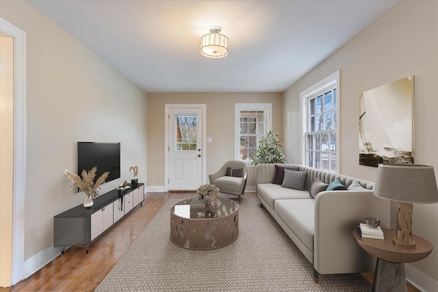 living room featuring wood-type flooring