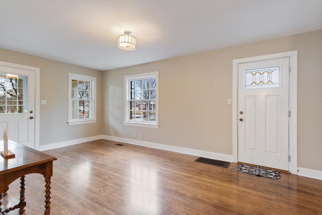 foyer entrance with wood-type flooring