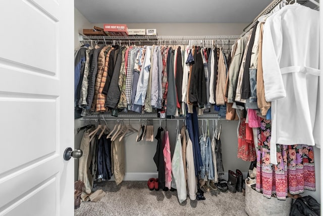 spacious closet with carpet flooring