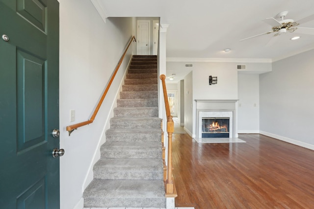 stairs featuring ceiling fan, ornamental molding, and hardwood / wood-style floors