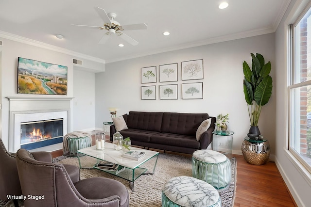 living room with hardwood / wood-style floors, crown molding, and ceiling fan