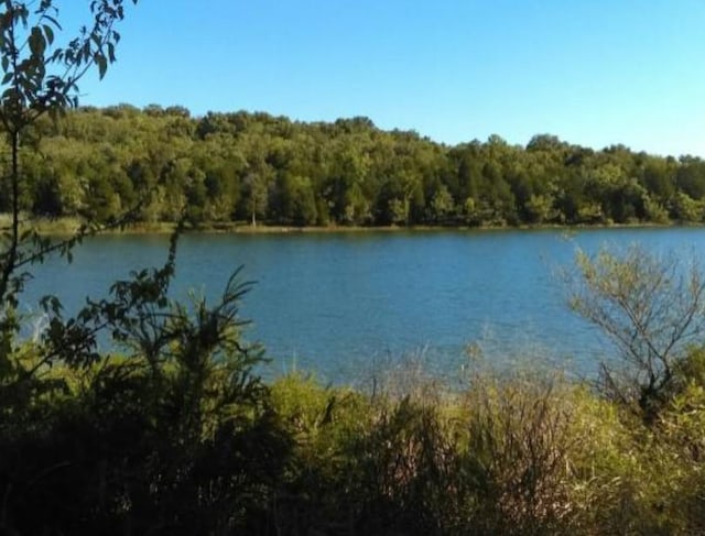 property view of water featuring a forest view