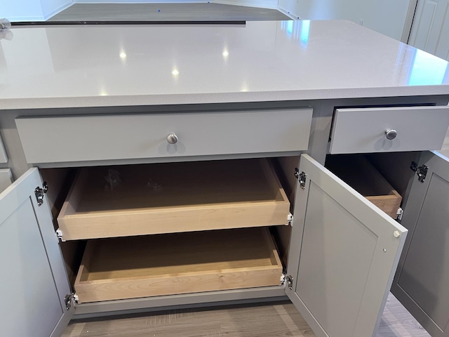 interior details featuring gray cabinetry and light hardwood / wood-style flooring