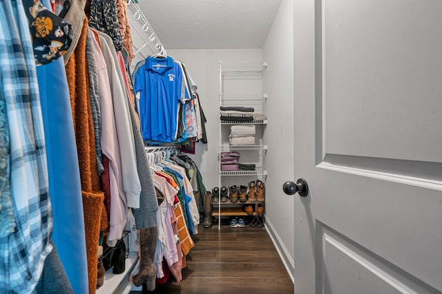 walk in closet featuring dark wood-type flooring