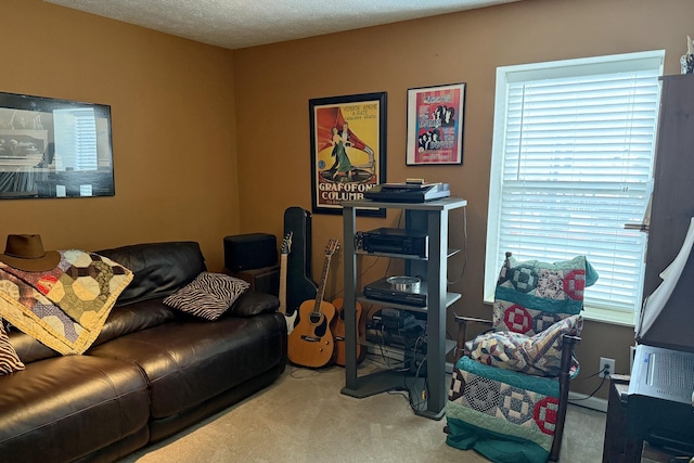 living room featuring carpet floors and a textured ceiling